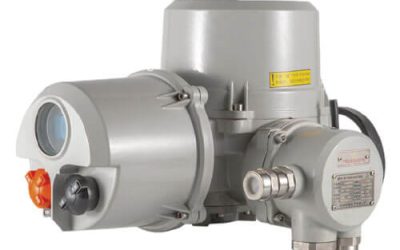 ACT Combined Quarter Turn Electric Actuator